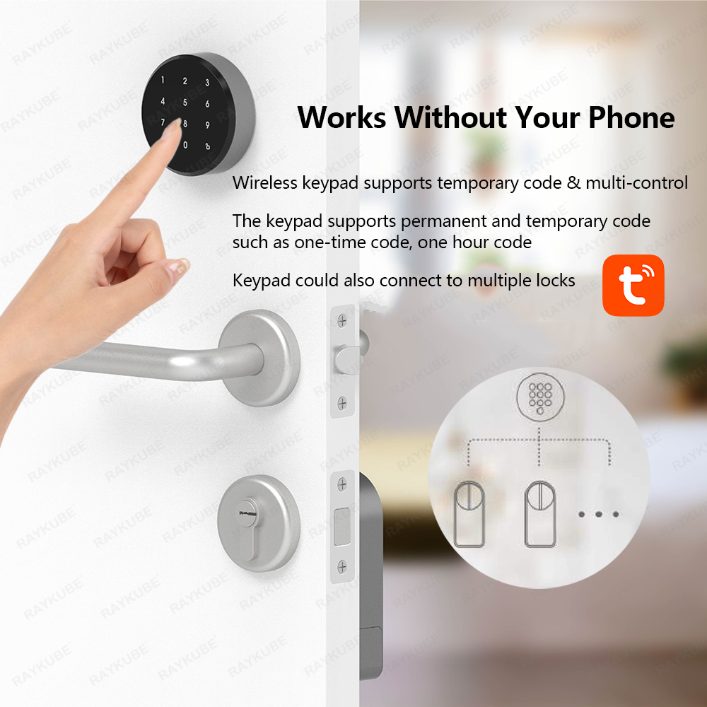 RAYKUBE A1 Pro Tuya BEL スマートドア - Home Security Door Lock のレビューと価格