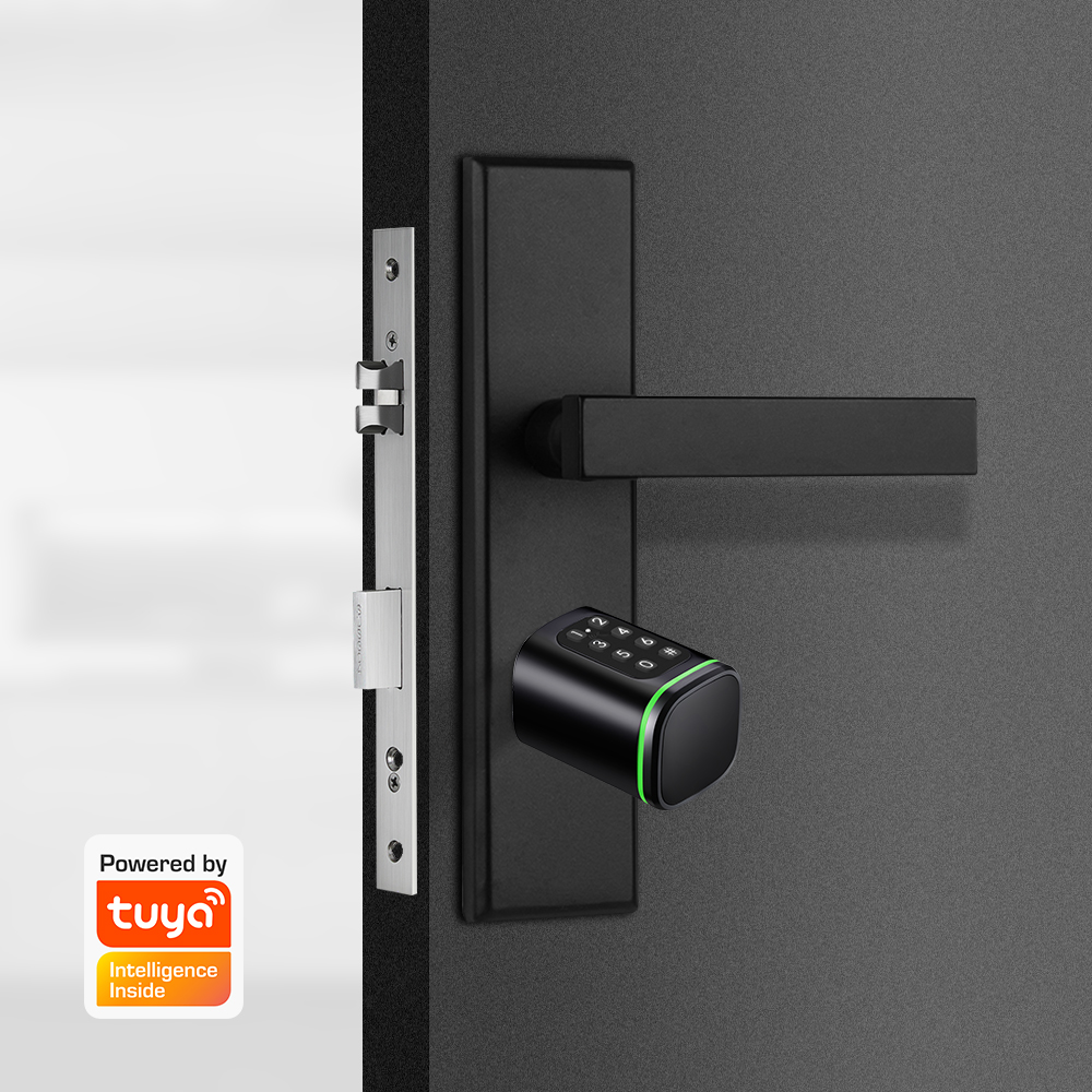 スマートシリンダーロック Tuya 60-90 ミリメートル - Home Security Group のレビューと価格